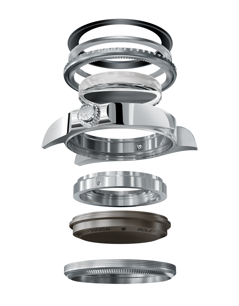 Ringlock-System